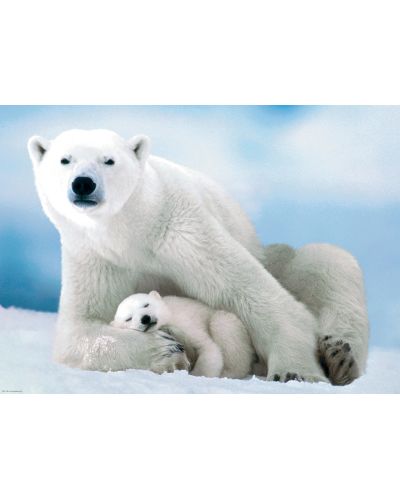 Пъзел Eurographics от 1000 части – Майка и бебе полярни мечки - 2