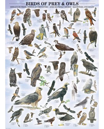 Пъзел Eurographics от 1000 части –  Грабливи птици и сови - 2