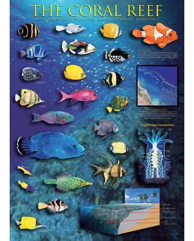 Пъзел Eurographics от 1000 части – Коралови рифове - 2