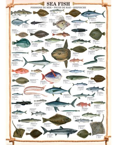 Пъзел Eurographics от 1000 части –  Морска риба - 2