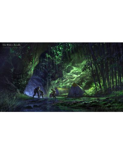 The Elder Scrolls Online Summerset Collector's Edition (PC) - 10
