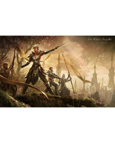 The Elder Scrolls Online Summerset (PS4) - 8