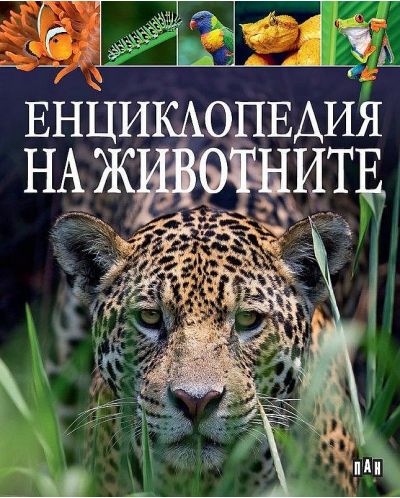 Енциклопедия на животните (тъмносиня корица) - Пан - 1