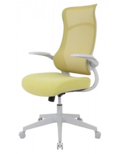 Ергономиочен стол Alexis - White, зелен - 1