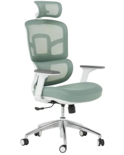 Ергономичен стол Carmen - 7579, зелен - 1