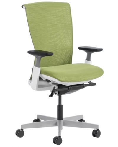 Ергономичен стол Carmen - Reina, зелен - 2