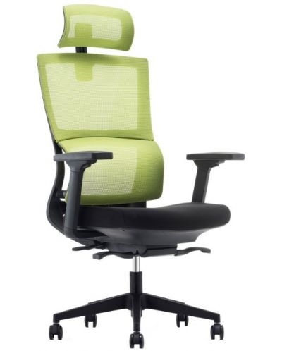 Ергономичен стол RFG - Grove, черен/зелен - 1
