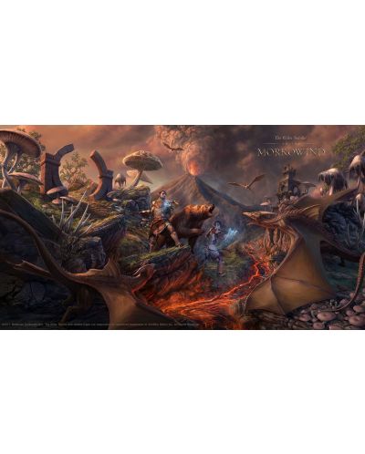 The Elder Scrolls Online: Morrowind (PS4) - 8
