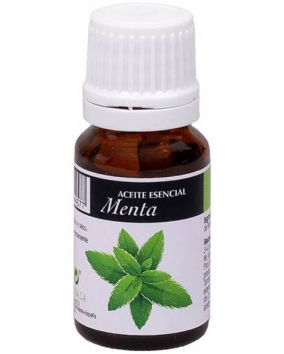 Етерично масло от мента, 10 ml, Artesania Agricola - 1