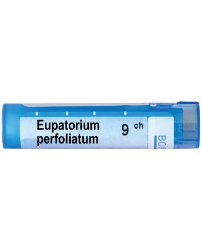 Eupatorium perfoliatum 9CH, Boiron - 1