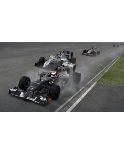 F1 2014 (PS3) - 10