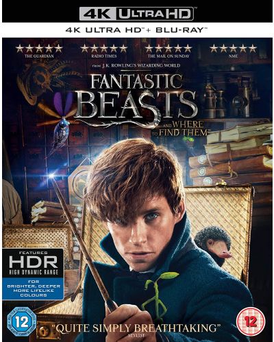 Fantastic Beasts And Where To Find Them (4K Ultra HD + Blu-Ray) - 1