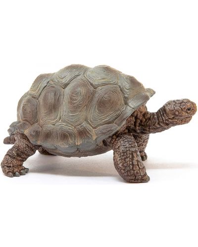 Фигурка Schleich Wild Life - Гигантска костенурка - 4
