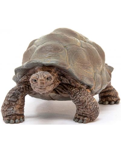 Фигурка Schleich Wild Life - Гигантска костенурка - 2