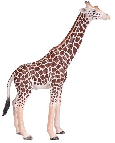 Фигурка Mojo Wildlife - Мъжки жираф - 1