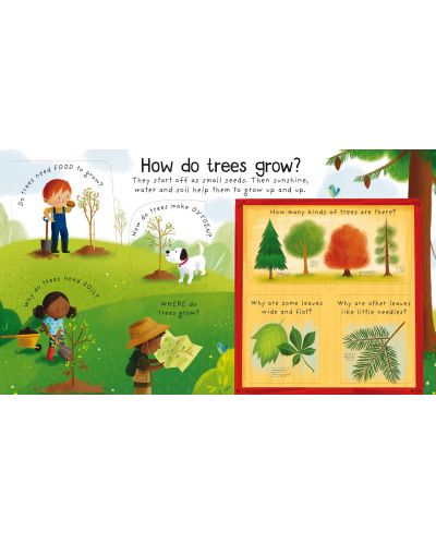 First Questions and Answers: Why Do We Need Trees? - 4