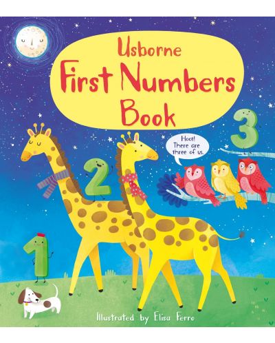 First Numbers Book - 1