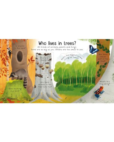 First Questions and Answers: Why Do We Need Trees? - 3