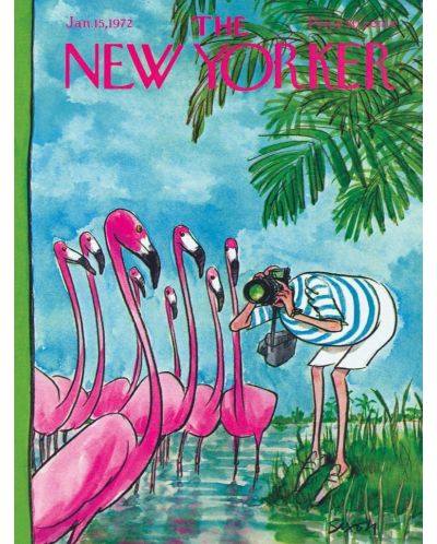 Пъзел New York Puzzle от 500 части - Фотограф на фламинго - 1