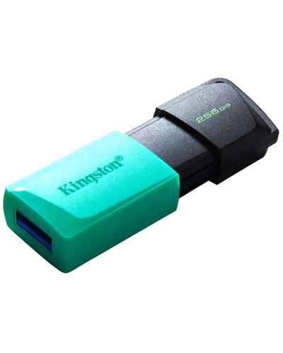 Флаш памет Kingston - Exodia M, 256GB, USB 3.2 - 2