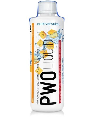 Flow PWO Liquid, манго, 500 ml, Nutriversum - 1