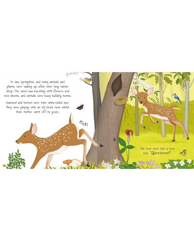 Four Nature Stories to Share: Tales of the Woodland - 3