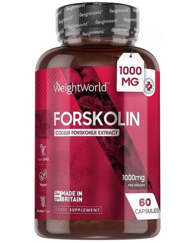 Forskolin, 60 капсули, Weight World - 1