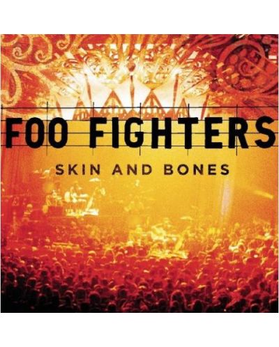 Foo Fighters - Skin and Bones (CD) - 1