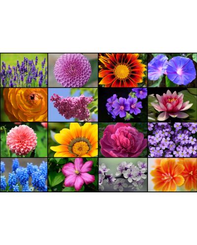 Пъзел Grafika от 1000 части - Колаж от пролетни цветя - 2