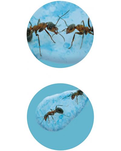 Изследователски комплект Buki Nature - Мини света на мравките - 4