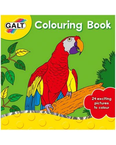 Книжка за оцветяване Galt - Папагал - 1