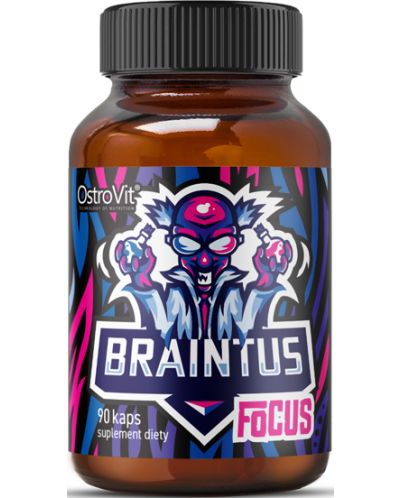 Gamer Braintus Focus, 90 капсули, OstroVit - 1