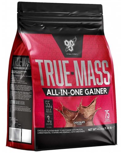 True Mass All-in-One, шоколад, 4200 g, BSN - 1