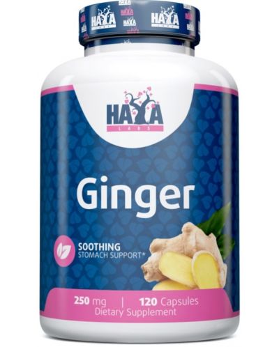 Ginger, 250 mg, 120 капсули, Haya Labs - 1