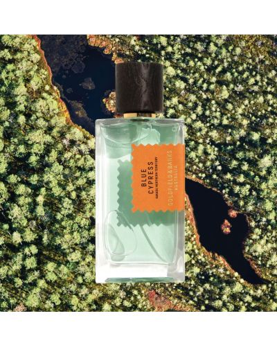 Goldfield & Banks Native Парфюм Blue Cypress, 100 ml - 2