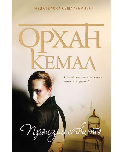 Произшествието (Господарката на чифлика 1)