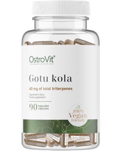 Gotu Kola, 90 капсули, OstroVit - 1