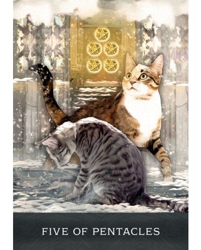 Grimalkin's Curious Cats Tarot - 5