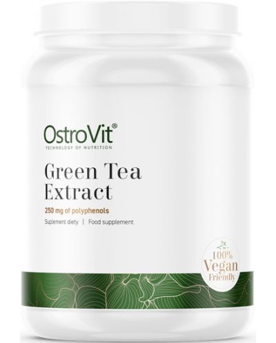 Green Tea Extract, 100 g, OstroVit - 1