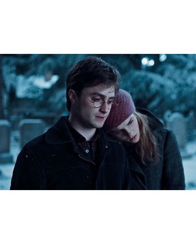 Хари Потър и Даровете на смъртта: Част 1 3D (Blu-Ray) - 2