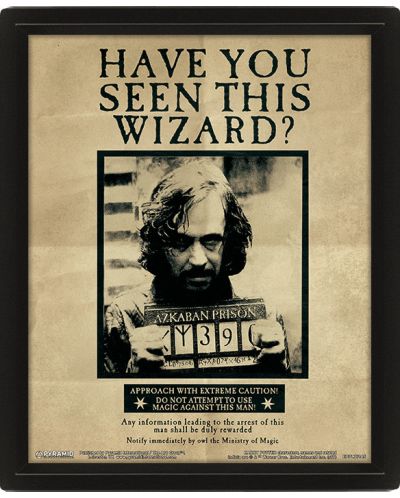 3D плакат с рамка Pyramid - Harry Potter: Potter / Sirius - 1