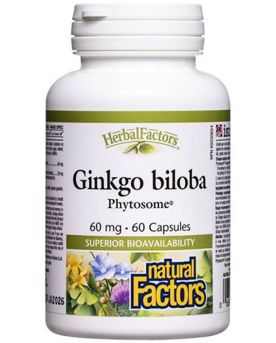 Herbal Factors Ginkgo Biloba Phytosome, 60 mg, 60 капсули, Natural Factors - 1