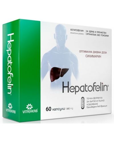 Hepatofelin, 60 капсули, Vita Herb - 1