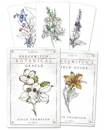 Hedgewitch Botanical Oracle - 1