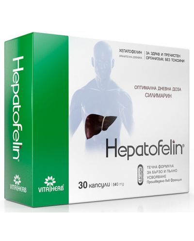 Hepatofelin, 30 капсули, Vita Herb - 1