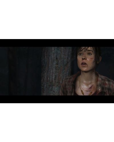 Heavy Rain & Beyond Two Souls Collection (PS4) - 7