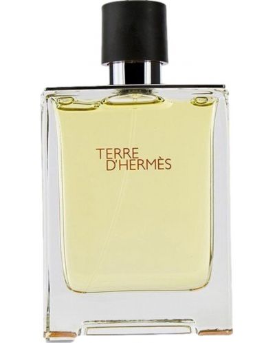 Hermes Terre d'Hermès Тоалетна вода, 100 ml - 1