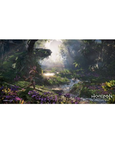 Horizon Forbidden West (PS4) - 7