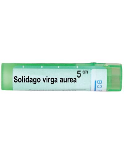 Solidago viga aurea 5CH, Boiron - 1