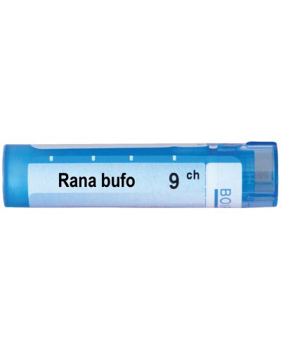 Rana bufo 9CH, Boiron - 1